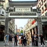<em>林<em>黛玉</em></em>倒拔垂楊柳