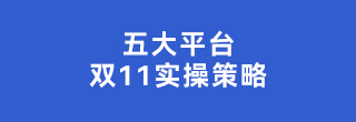 双11实操，一些流量策略的思路与建议