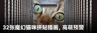 32张魔幻猫咪拼贴插画，高萌预警