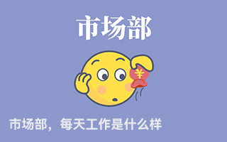 市场部，每天工作是什么样