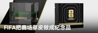 FIFA把赛场草皮做成纪念品,最高售价3000美元 FIFA把赛场草皮做成纪念品,最高售价3000美元