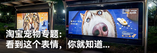 淘宝宠物专题：看到这个表情，你就知道...
