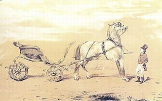 馬年<em>說</em>馬 大牌logo里馬的來歷