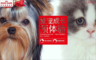 Royal Canin 皇家宠物食品 - 爱宠成长 预体验 活动网站