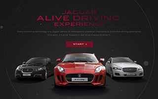 Jaguar Alive Technology