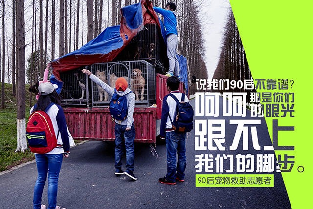 貴人鳥“我們的發光時代”