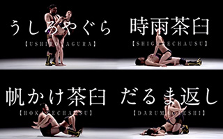 杜蕾斯:性爱48种姿势体位