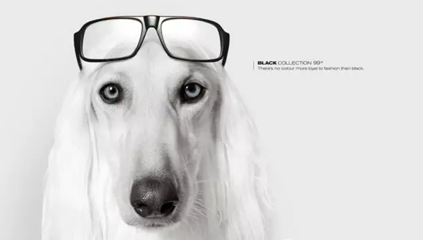 广告狗，不懂金融就真的是狗了！
