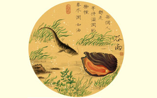 杜蕾斯24节气创意文案，杜杜的才情你一定懂！