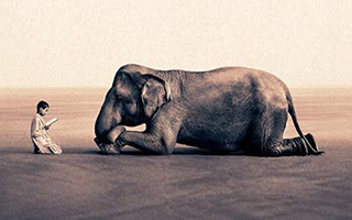 没有画面感的文案，端不起月薪过万的饭碗