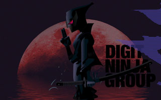 DIGITNINJA