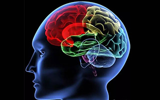 【李叫兽】你的文案，具体能唤起什么？ 