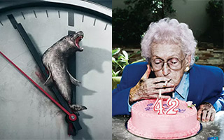 这些超赞公益海报设计，不用看文案也能秒懂！【海报合集】