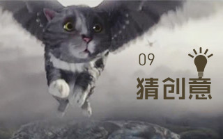 猜创意：前方喵星人出没，你做好被萌化的准备了吗？