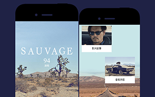 Dior：“我在寻找什么？” 是魔力，是Sauvage！ 移动网站