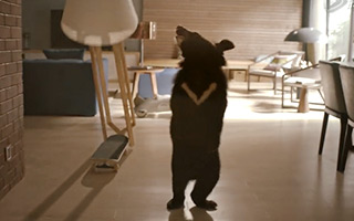 迪士尼视界：《熊孩子》年度家庭灾难大片 品牌传播