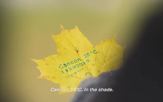 汉莎航空：在落叶上打广告 视频欣赏