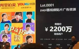 2200万！papi酱首次广告拍卖落锤，标王得主：丽人丽妆