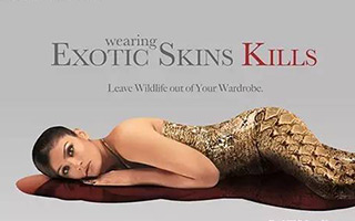 奢侈品居然这样卖，顾客都吓哭了…