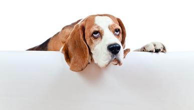 一枚广告新人的自白:广告少年,初心未改