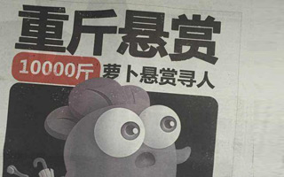 這個成了精的蘿卜 今天上了大半個中國的報紙