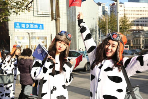 荷兰皇家菲仕兰：一百“头”美女奶牛圣诞空降上海！