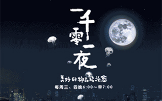 淘宝 UED：从设计的角度，揭秘「一千零一夜」的诞生和后续动作