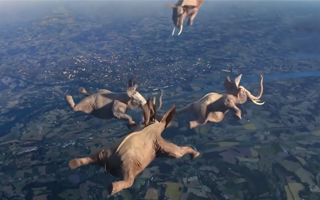 Idents <em>France3</em>：如果動物們也有極限運動，這個創意簡直贊爆了！