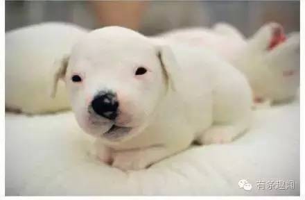 【笑話】那些你猜中開頭卻猜不中結尾的段子~~~第二波