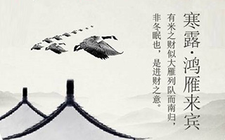 刚开始降温，杜蕾斯们就又开始追热点了【寒露节气借势合集】