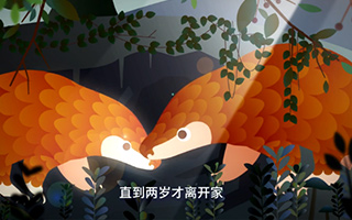 创作手记：这支关于穿山甲的动画，是最没创意的创意