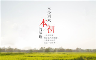 小胚芽·米世界|做一粒有信仰的“大大米”