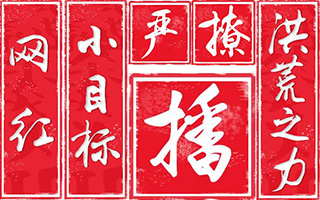 央视2016年度汉语盘点提名新鲜出炉（网红、套路...）