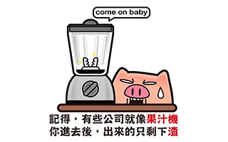 屁熊内裤猪讲职场，句句都是真相