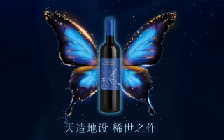 古有庄周梦蝶 今有蝶韵酒酿