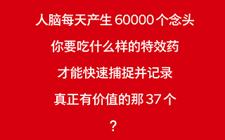 解读锤子新品发布会海报：老罗的相声里究竟卖的什么药？