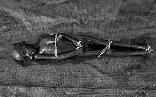 他做了一个PPT，入围了奥斯卡金像奖