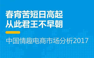 大数据！2017年中国情趣电商市场分析