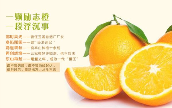 創新媒體，他們真的火了