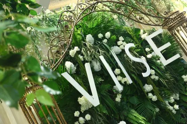 VIISE植物酵醒系列发布