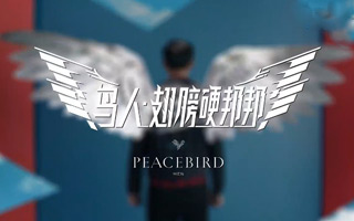 PEACEBIRD：今天起，做一个翅膀硬了的鸟人