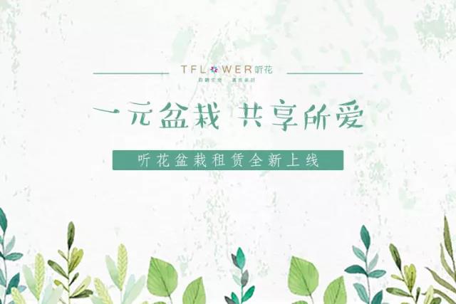 共享花卉，這個“坑”值得入嗎？