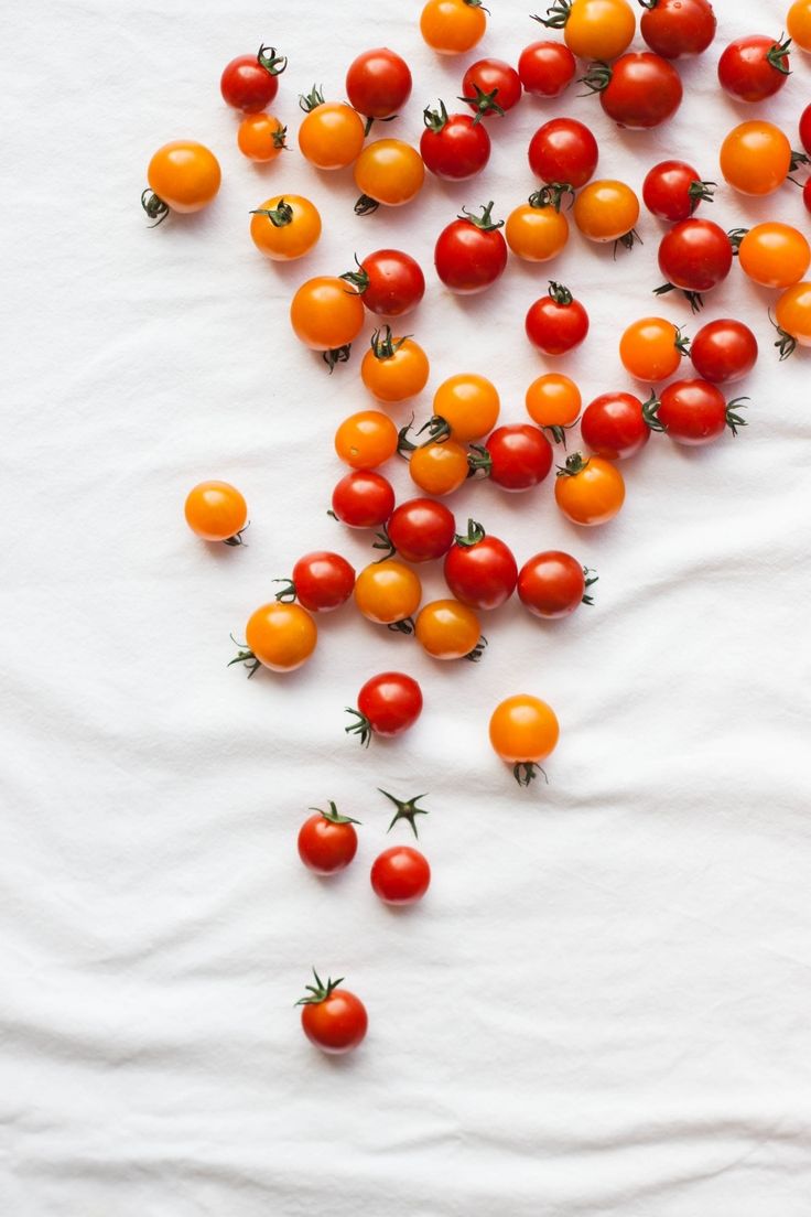 从衣二三到番茄炒鸡蛋