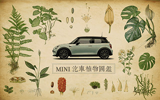 MINI 汽车植物图鉴：从植物图谱中，发现净化论