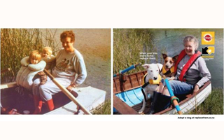 宝路狗粮:孩子长大离开家了,还有它们可以陪伴你