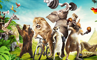 长隆野生动物世界 x 麦当劳：用21万开一个动物奥运分会场