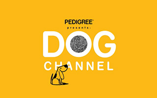 2017戛纳国际创意节网络类金奖作品：Dog Channel