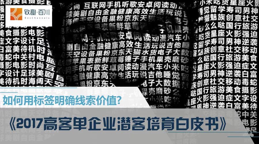 致趣百川：怎样判断谁能产出“千万商机”《潜客培育白皮书》下载