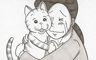 花王拍给猫奴的温情动画广告：请细读猫咪的“来信”