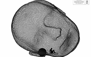 國(guó)際特赦組織 Prison of the Head 系列創(chuàng)意廣告